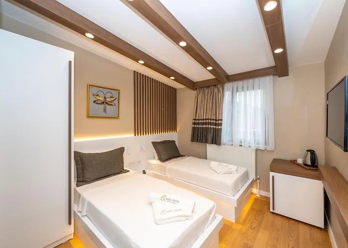 ホテル Grand イスタンブール